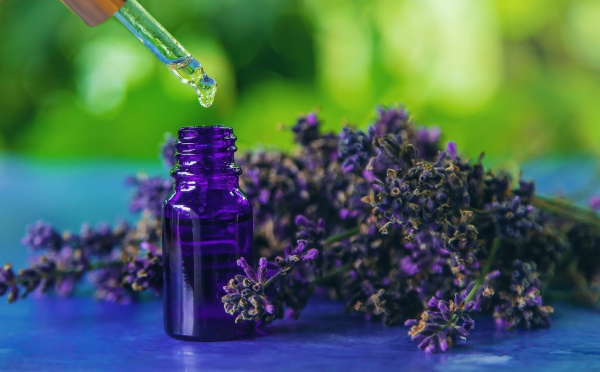 Lavender Essential Oil